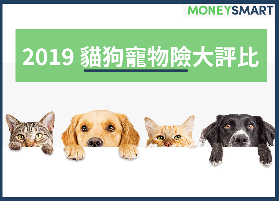 2019貓狗寵物險評比